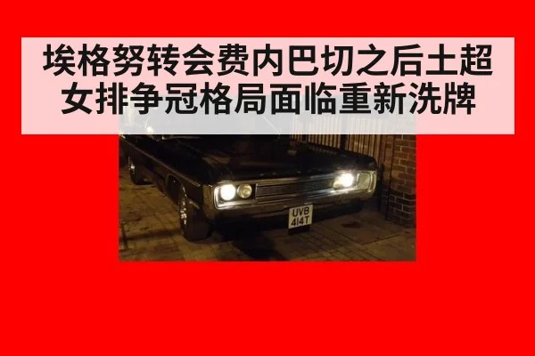 埃格努转会费内巴切之后土超女排争冠格局面临重新洗牌